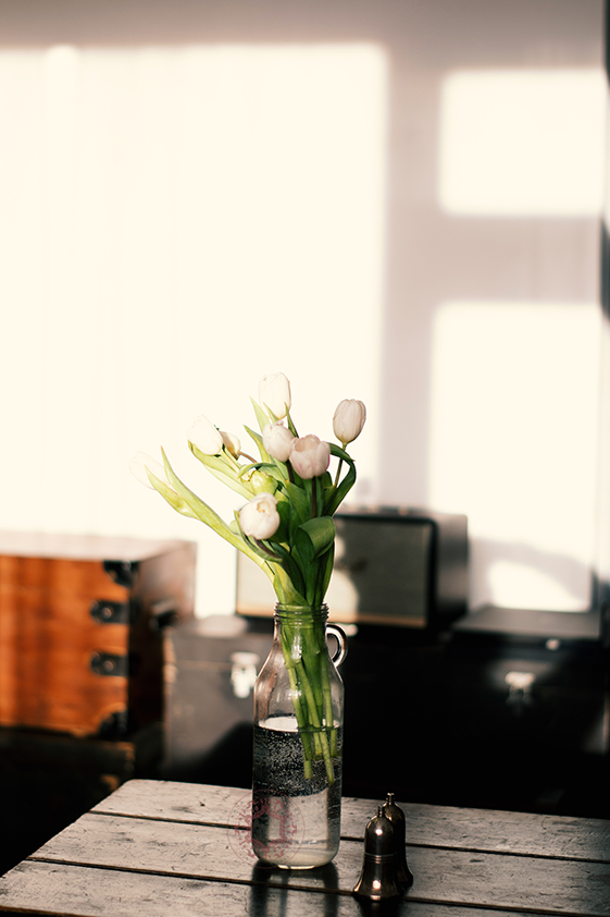 © R.Mateviciute, rasadesign.art South east London photographer, painter Brockley, New Cross, Lewisham, Greenwich, Catford, Blackheath.